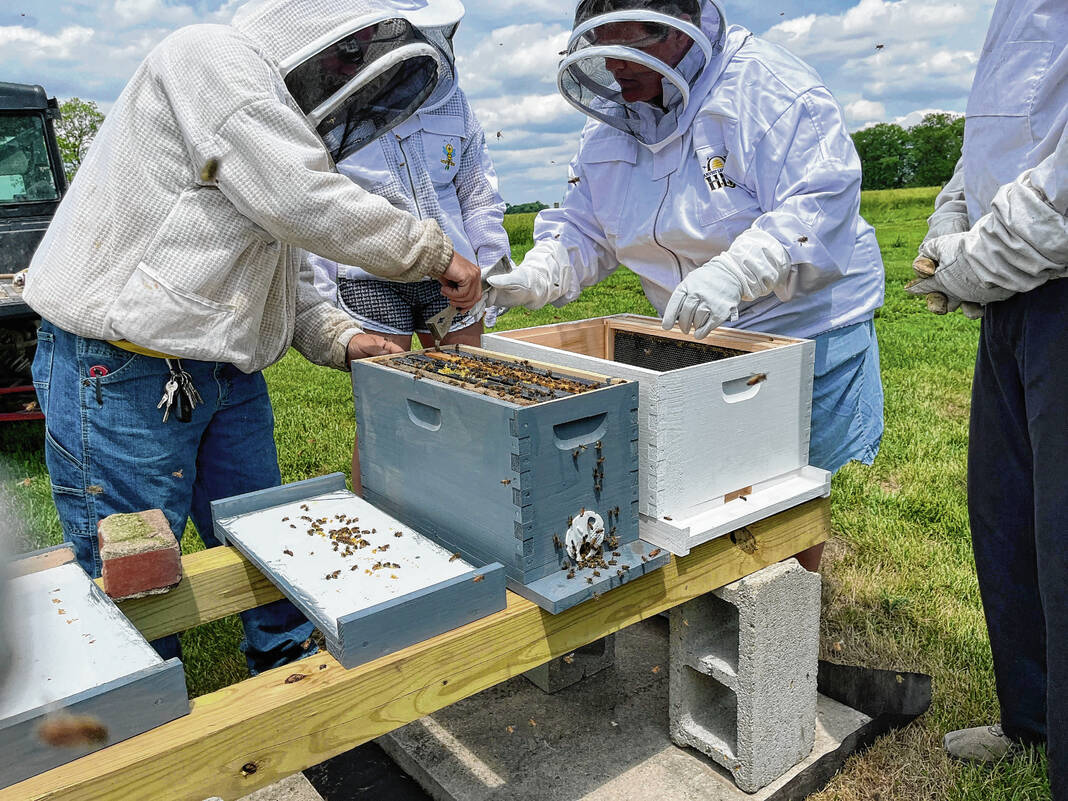 Beginner Beekeepers  Three Rivers Beekeeping Club - St. Charles MO