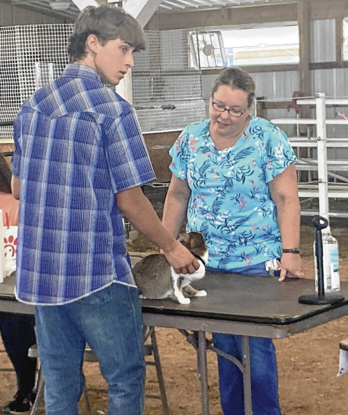 4-H’ers have clawful good time at cat present