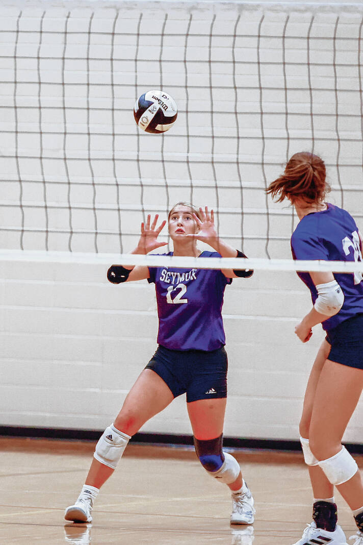 Fish earns Tribune's Volleyball Player of the Year distinction