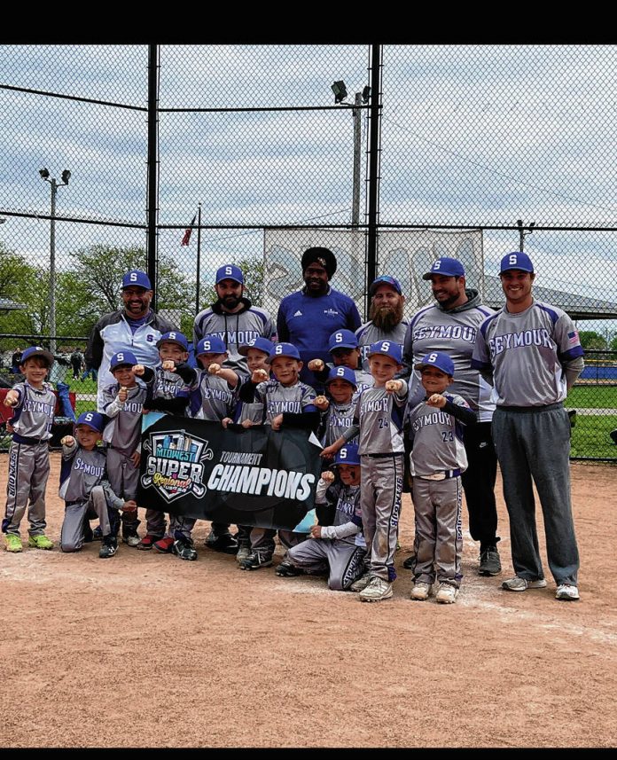 8U Seymour Diamondbacks win state championship - Seymour Tribune