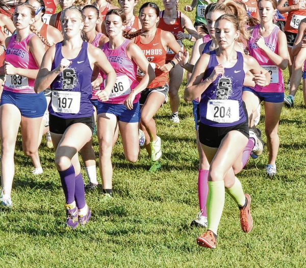 Owls finish 3rd and 5th at HHC cross country meet; Both teams eyeing sectional